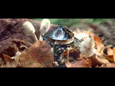 SHIT ON MCS5 - T Tone The Voice