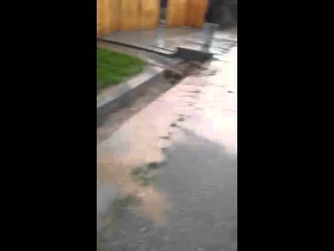 Inundații în schinteiești din comuna Izvoru Bârzii.