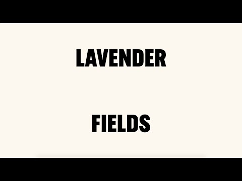 Nick Cave & Warren Ellis - Lavender Fields (Official Lyric Video)