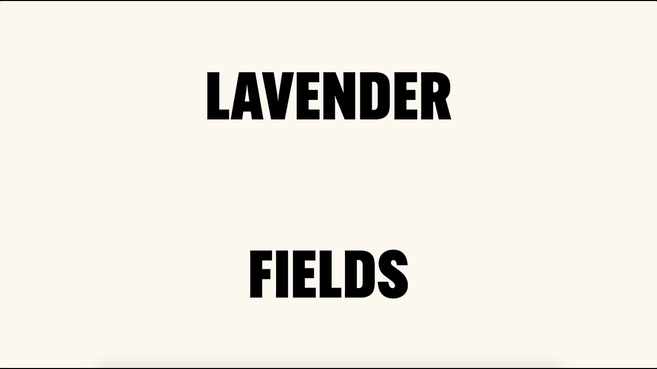 Nick Cave - Lavender Fields