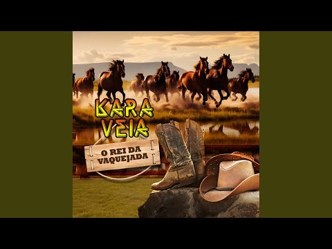 Mulher Ingrata e Fingida