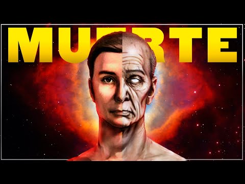 The INSIGNIFICANCE of DEATH