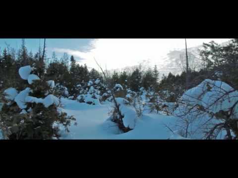 Vegard Veslelia – Akkurat