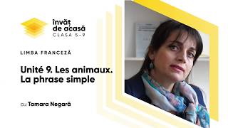 "Les animaux domestiques. La phrase simple"