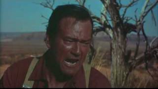 The Searchers (1956) Video