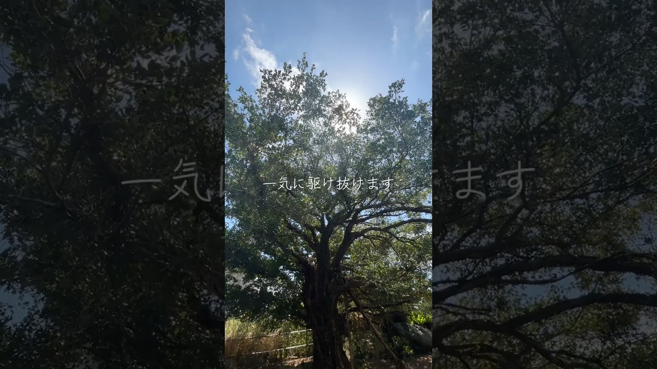 波動　パワー　生きる力　自然