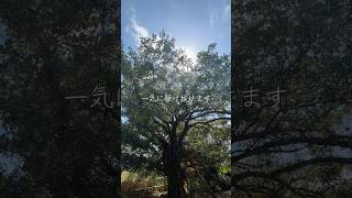波動　パワー　生きる力　自然