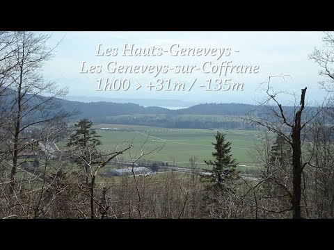 20-Les Hauts-Geneveys-Les Geneveys-sur Coffrane 1h00 (+31m/-135m)