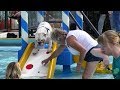 Honden nemen laatste zomerse duik in zwembad