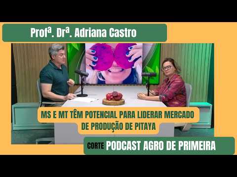 Pitaya: MS e MT têm potencial para liderar mercado nacional