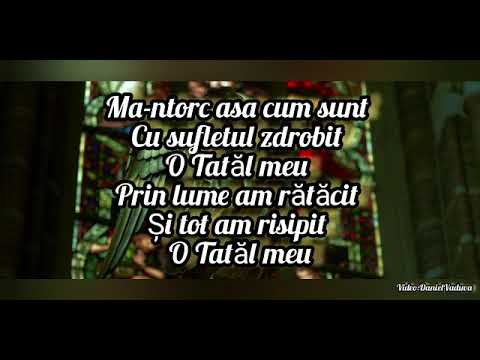 NEGATIV-Ma Întorc la Tatăl Meu(Adi Tomodan)