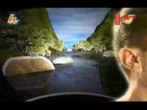 LOS NSQ Y LOS NSC- BALLENA AZUL