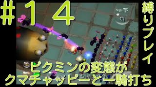 【ピクミン2】【クマチャッピー縛り】ピクミンの変態がクマチャッピーと一騎打ちpart14【ライジング】
