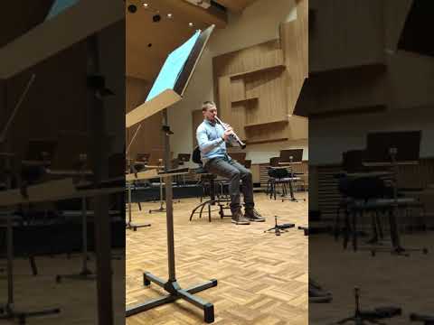 Kalevi Aho Clarinet Concerto - Cadenza (fragment). Full performance link in the description.