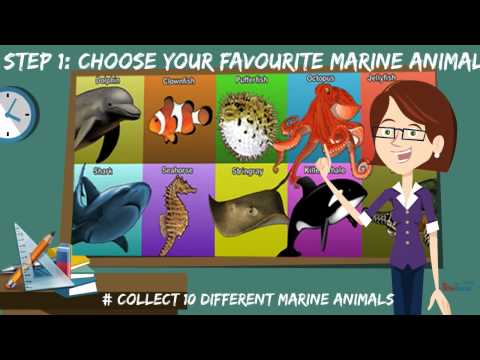 Math Quiz For Third Grade Video