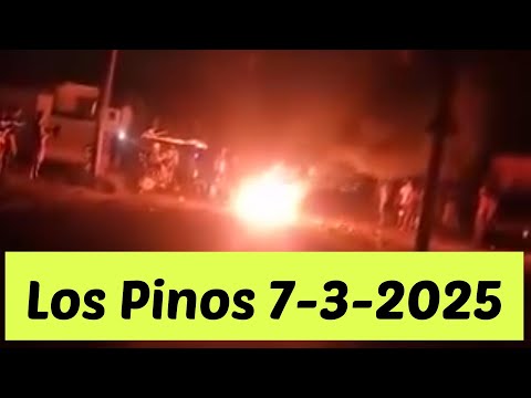 Los pinos, Arroyo Naranjo,  hoy 7-3-2026