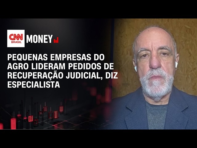 Pequenas empresas do agro lideram pedidos de recuperação judicial, diz especialista | MONEY NEWS