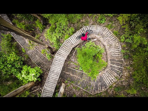 Norco v krásném lese