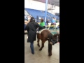 Ava On Pony Ride At Circus 4 26 14