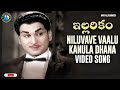 Niluvave Vaalu Kanula Daana Song Remix Illarikam Movie Songs ANR Hits Telugu Old Songs