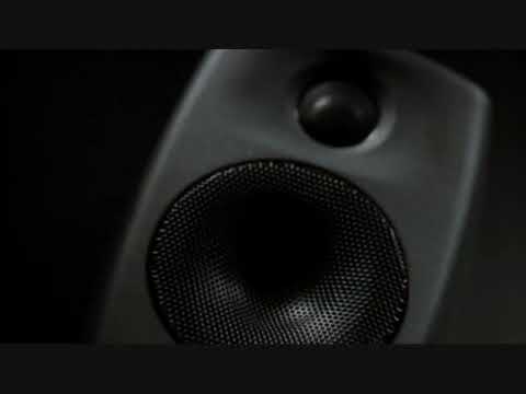 Genelec 6010 Vari Internacional