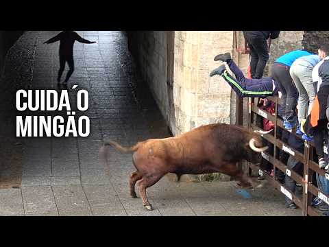 Ciudad Rodrigo Carnaval 2026 Toro del Aguardiente