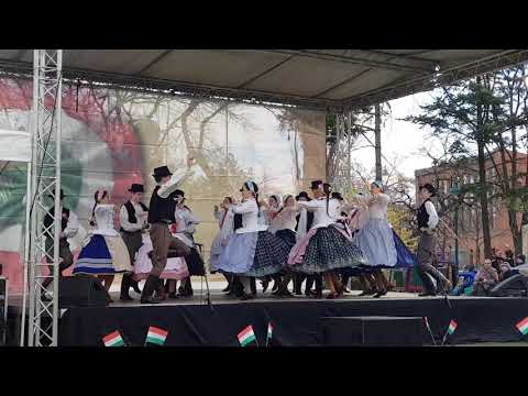 Angyalföldi ifjú vadak