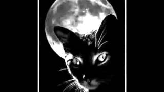 Volevo un gatto nero Remix