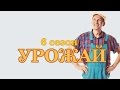 Сваты 6 / Урожай 