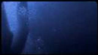 Drop Dead Gorgeous - Worse Than A Fairy Tale Clue #3