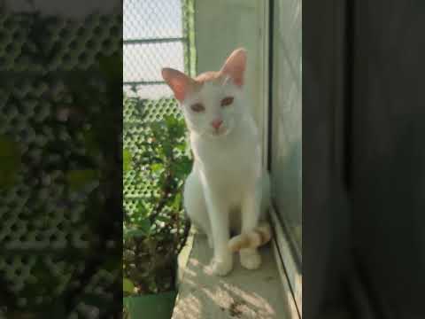 Hi .. look at me ,m here ..❤️❤️ @viral @views @ post @YouTube