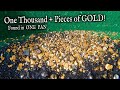 I Found Over 1000 Pieces of Gold!