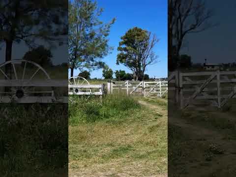 Campo y Tranquera en Coronel Brandsen Buenos Aires Argentina