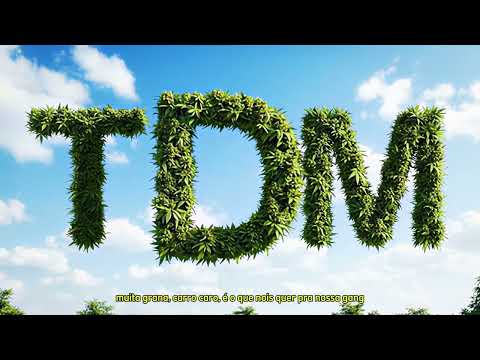 TDM - NO COROLLA - Fernvnd$, D'senna [prod.D'senna]