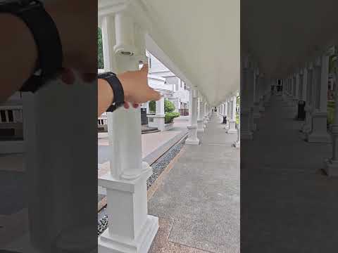 Parc Vista, 450 Corporation Road, Room Rental, 100 sqft, Condominium For Rent, by Steve Voon, 25619136 - PropertyGuru.com.sg