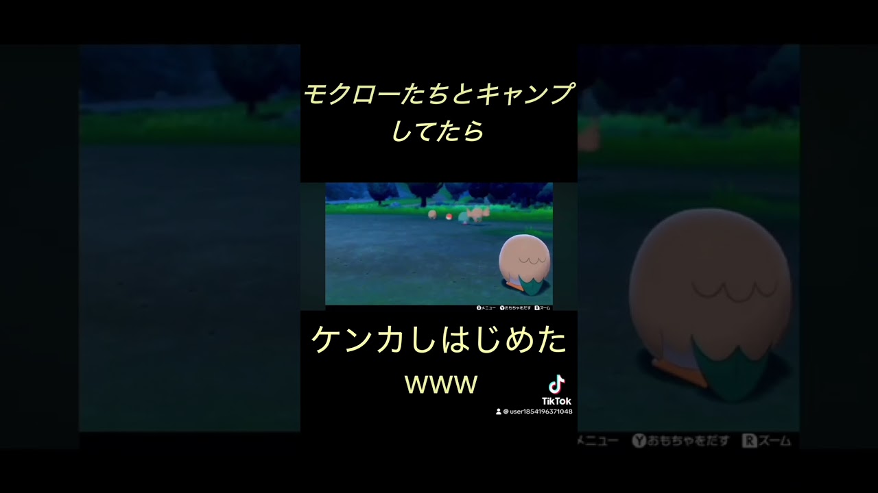 モクローとキャンプ♯ポケモン