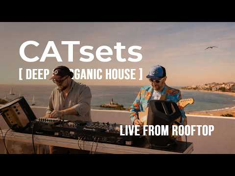 Deep & Organic House Rooftop Jam Session. Cat & Lambada - Live Guitar & Maschine+ [NI]