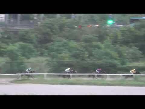 Trka "Black Monk" 23.06.2019 Four Fifty Three - Miloš Milojević