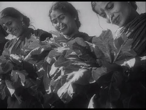 In Rural Maharashtra