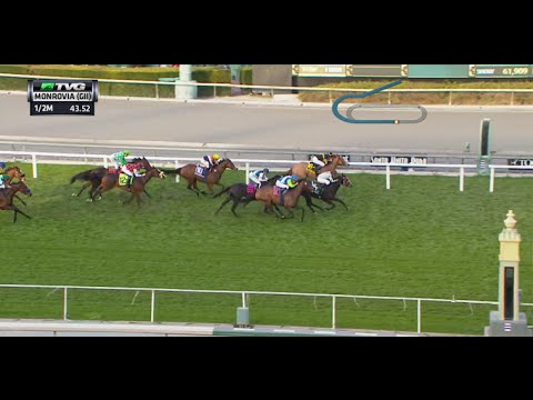 RACE REPLAY: 2016 Monrovia Stakes