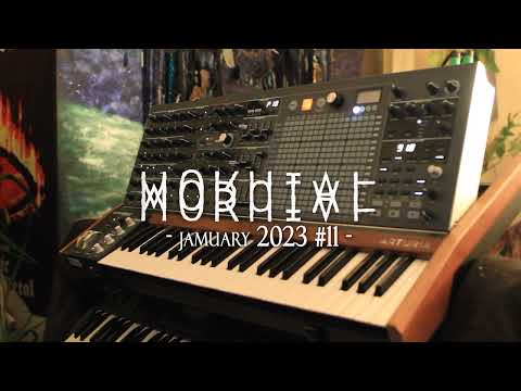 Moruial - #jamuary2023  11