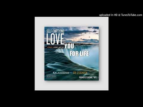 DJ ZeeNiiX x Kaladoshas - Love You For LiFe (Lime Wire Style Remix 2018).mp3