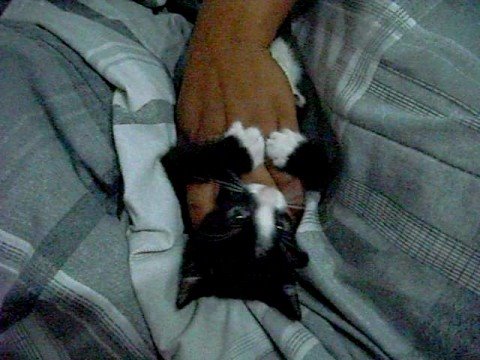 Yaneli Playin with Mittens