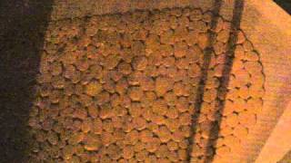 Hilde Marie Kjersem -  That Day in the Shower