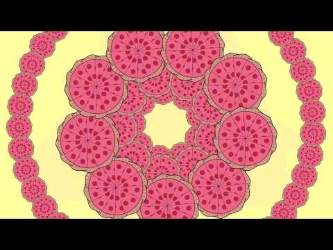 Afterlife - NATIONAL DOBRO (CHRIS COCO MIX)