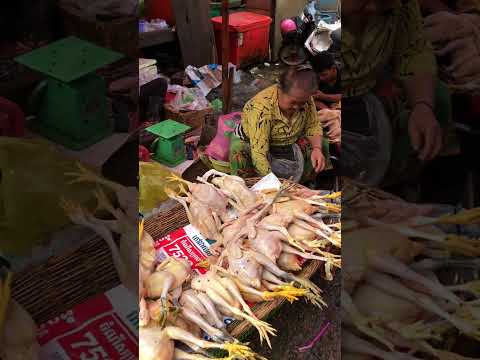 Local de peixe e distribuição #freshfish #marketlife