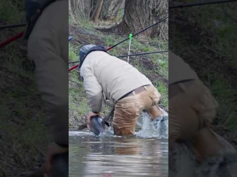 Поймаааал!!!