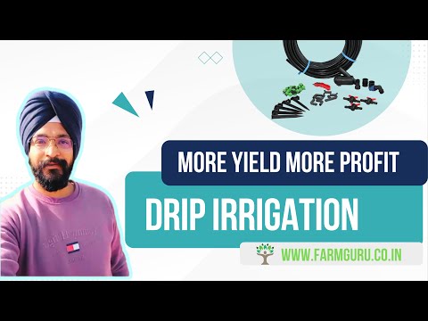 Maximizing Crop Yields with Drip Irrigation: The Ultimate Guide