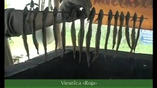 preview picture of video 'Viesnīca Roja, zvejnieku sēta, Rojas golfa klubs'