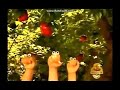 Noggin Oobi Shorts Apple Picking